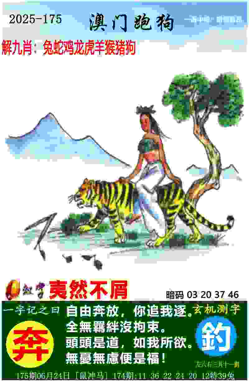 文一男篮夺得赛点 总决赛3比0领先广西