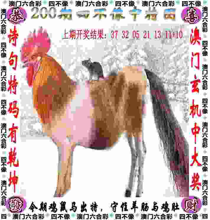 >77777788888王中王中特点亮